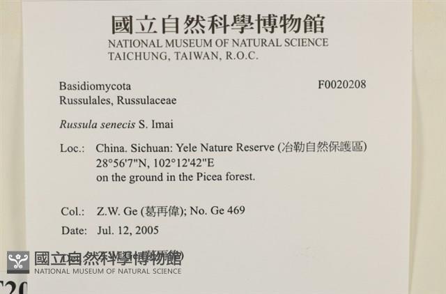 登錄號:F0020208藏品圖，第4張
