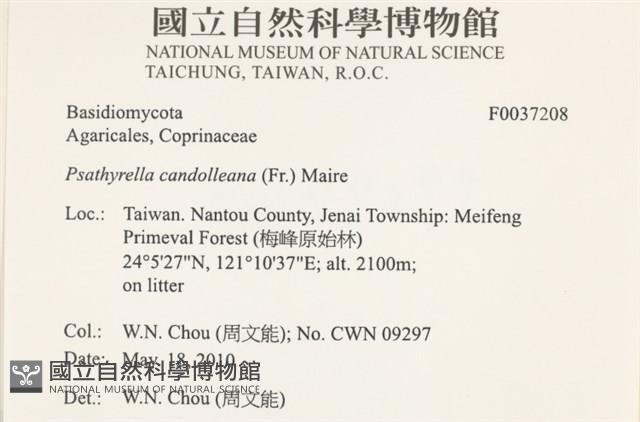 登錄號:F0037208藏品圖，第2張