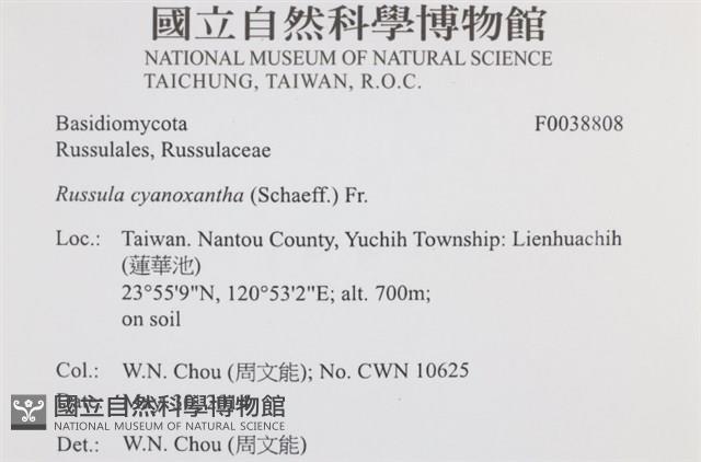 登錄號:F0038808藏品圖，第2張