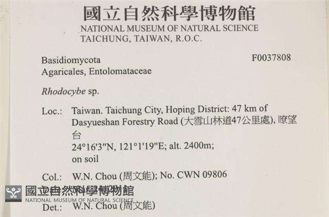 登錄號:F0037808藏品圖，第2張
