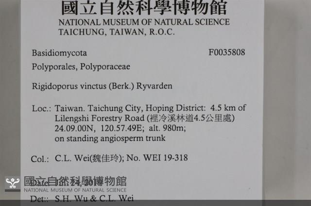 登錄號:F0035808藏品圖，第2張
