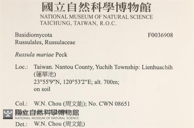 登錄號:F0036908藏品圖，第2張
