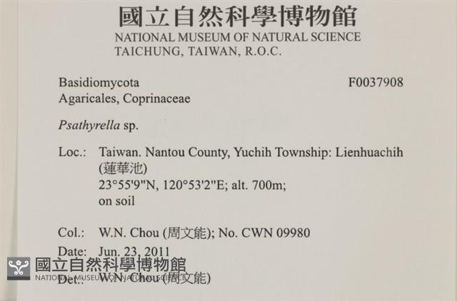 登錄號:F0037908藏品圖，第2張