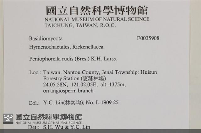 登錄號:F0035908藏品圖，第2張