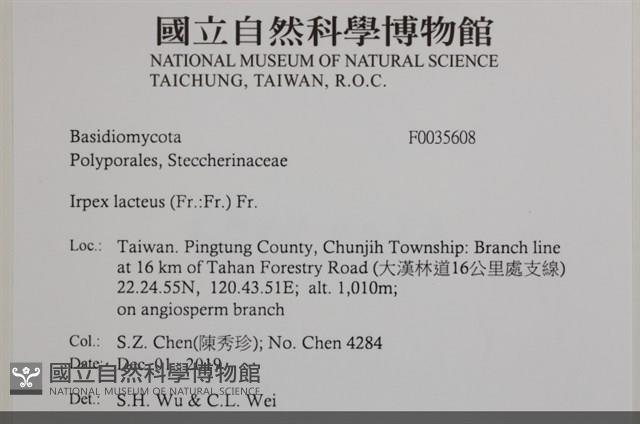 登錄號:F0035608藏品圖，第2張