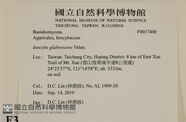 登錄號:F0037408藏品圖，第2張