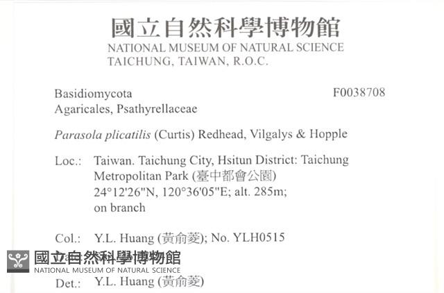 登錄號:F0038708藏品圖，第2張