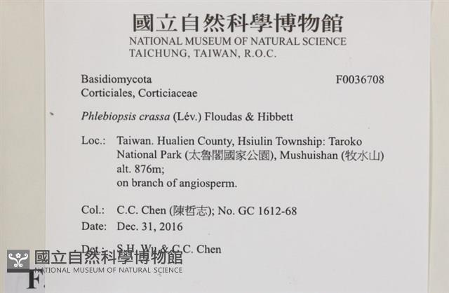 登錄號:F0036708藏品圖，第2張