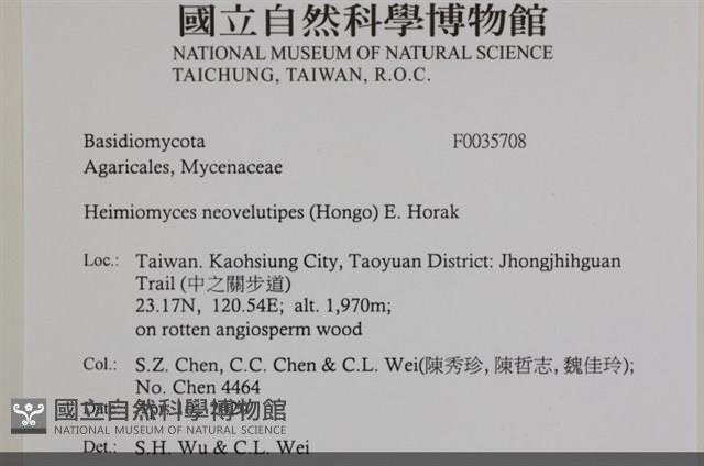 登錄號:F0035708藏品圖，第2張