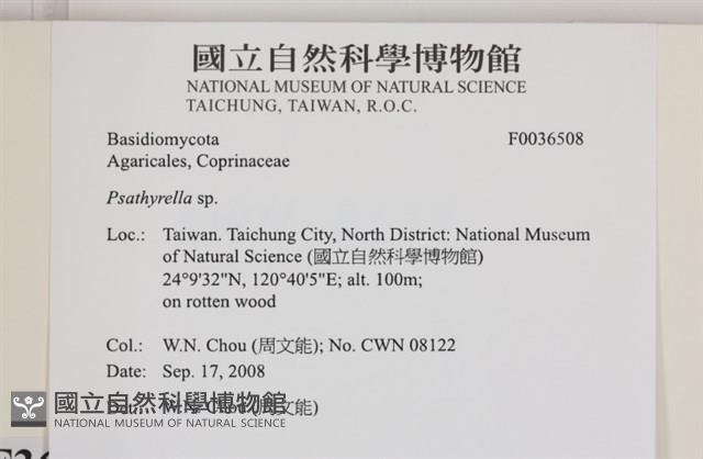 登錄號:F0036508藏品圖，第2張