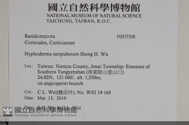 登錄號:F0035508藏品圖，第2張