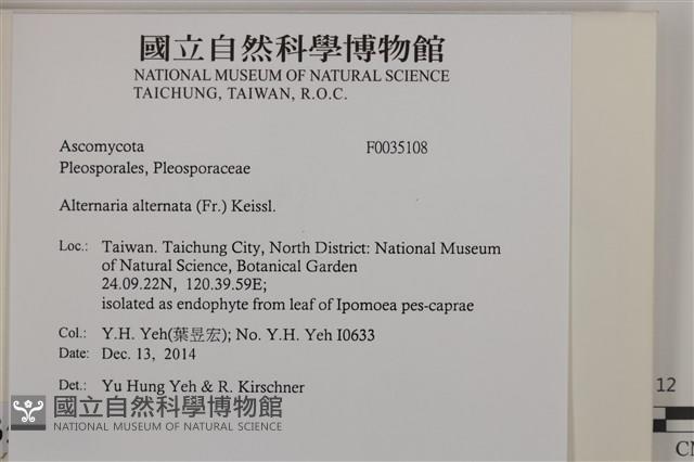 登錄號:F0035108藏品圖，第2張