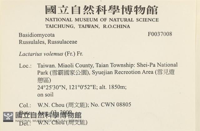登錄號:F0037008藏品圖，第2張