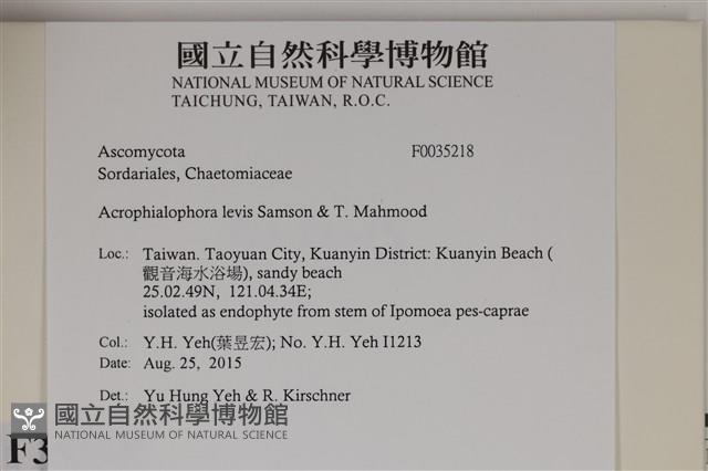 登錄號:F0035218藏品圖，第2張