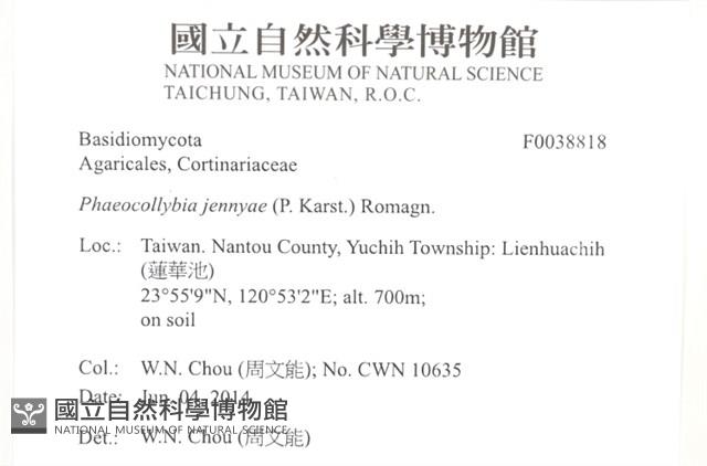 登錄號:F0038818藏品圖，第2張