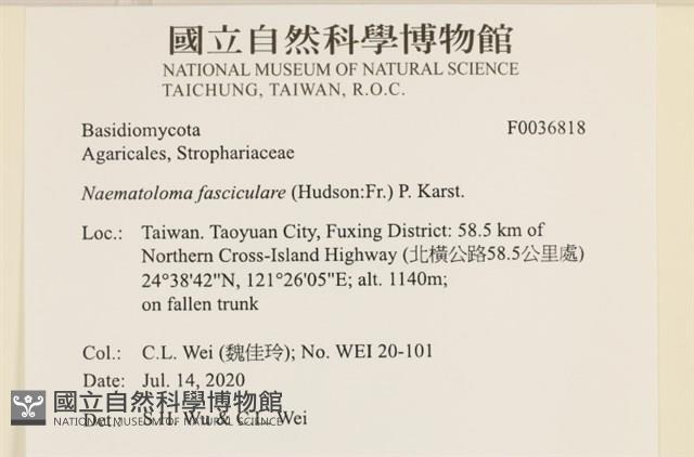 登錄號:F0036818藏品圖，第2張