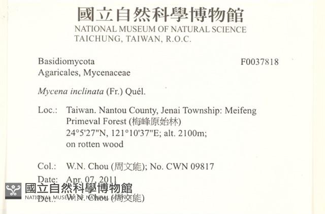 登錄號:F0037818藏品圖，第2張