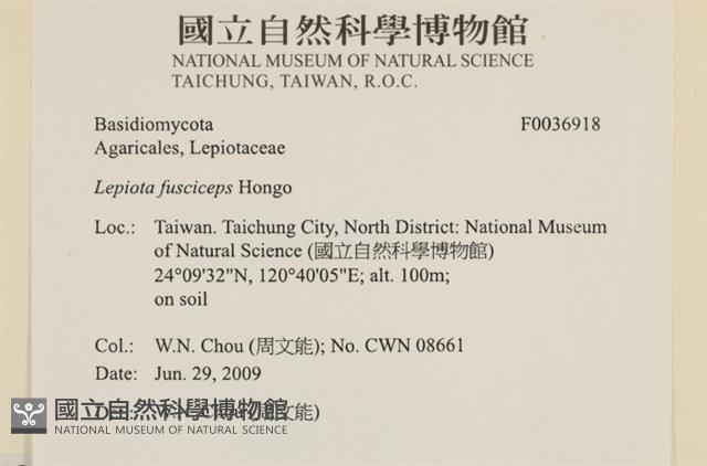 登錄號:F0036918藏品圖，第2張
