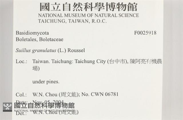 登錄號:F0025918藏品圖，第4張