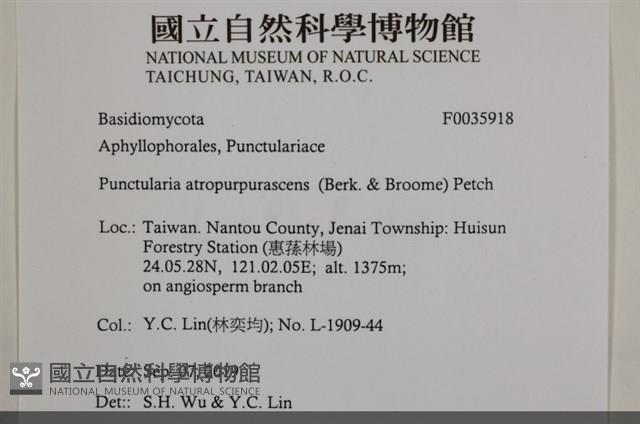 登錄號:F0035918藏品圖，第2張