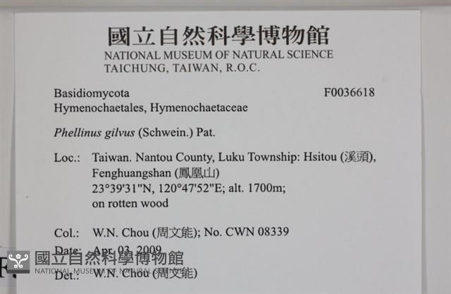 登錄號:F0036618藏品圖，第2張