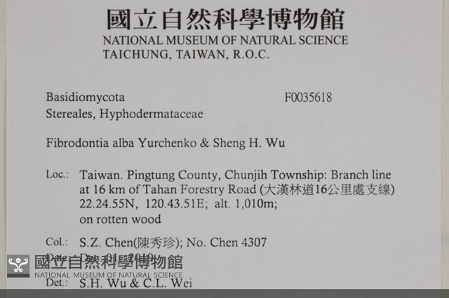 登錄號:F0035618藏品圖，第2張