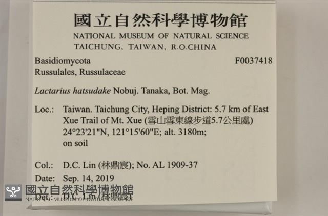 登錄號:F0037418藏品圖，第2張
