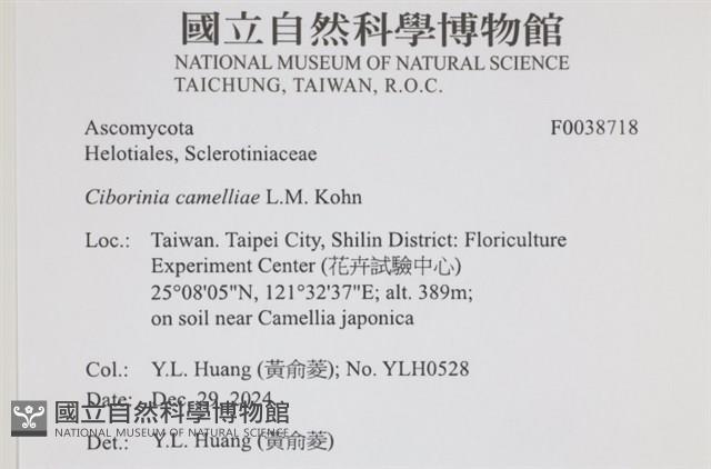 登錄號:F0038718藏品圖，第2張