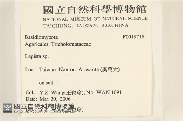 登錄號:F0019718藏品圖，第2張