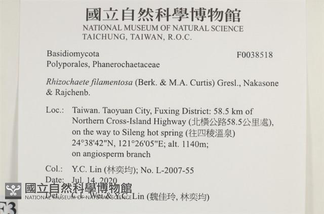 登錄號:F0038518藏品圖，第2張