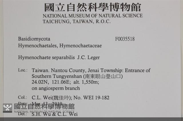 登錄號:F0035518藏品圖，第2張