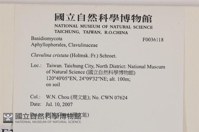 Accession Number:F0036118 Collection Image, Figure 2, Total 2 Figures