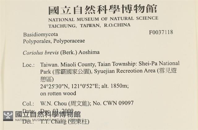 登錄號:F0037118藏品圖，第2張