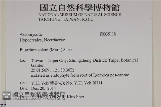 登錄號:F0035118藏品圖，第2張