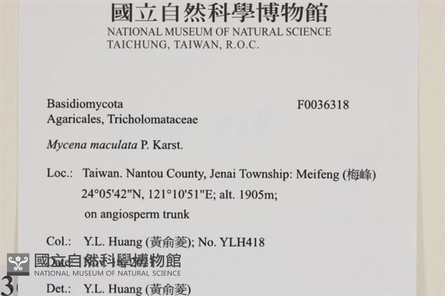 登錄號:F0036318藏品圖，第2張