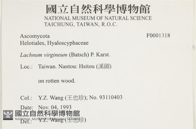 登錄號:F0001318藏品圖，第3張