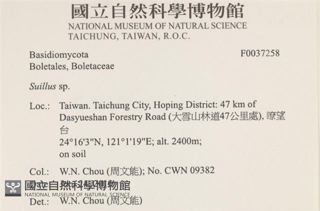 登錄號:F0037258藏品圖，第2張