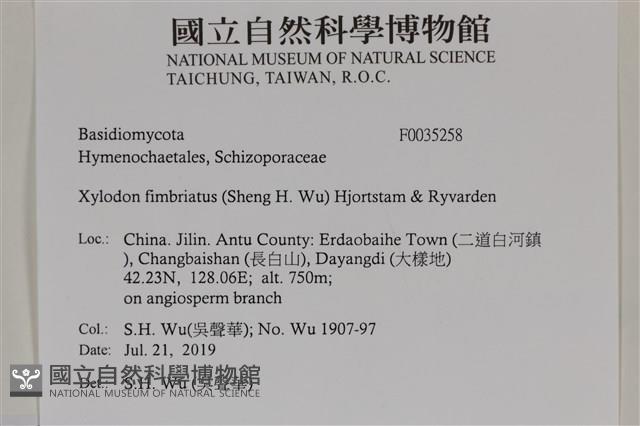 登錄號:F0035258藏品圖，第2張
