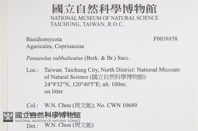 登錄號:F0038858藏品圖，第2張