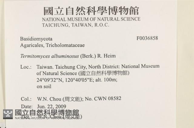 登錄號:F0036858藏品圖，第2張