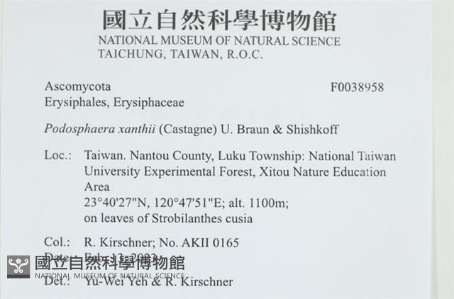 登錄號:F0038958藏品圖，第2張