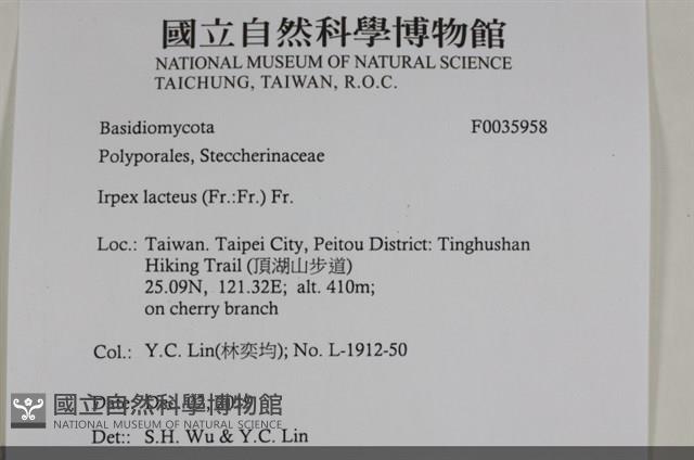 登錄號:F0035958藏品圖，第2張