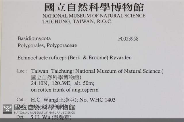 登錄號:F0023958藏品圖，第3張