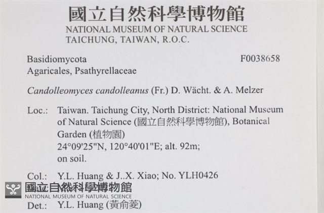 登錄號:F0038658藏品圖，第2張