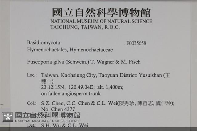登錄號:F0035658藏品圖，第2張