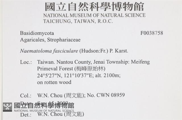 登錄號:F0038758藏品圖，第2張