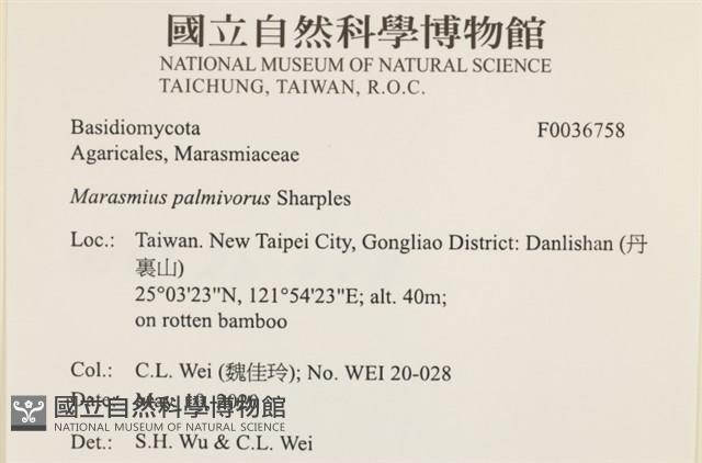 登錄號:F0036758藏品圖，第2張