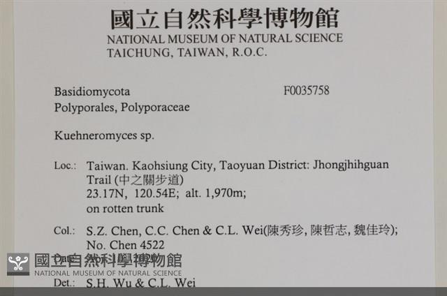 登錄號:F0035758藏品圖，第2張
