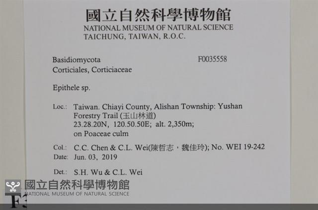 登錄號:F0035558藏品圖，第2張