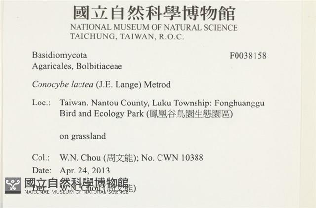 登錄號:F0038158藏品圖，第2張